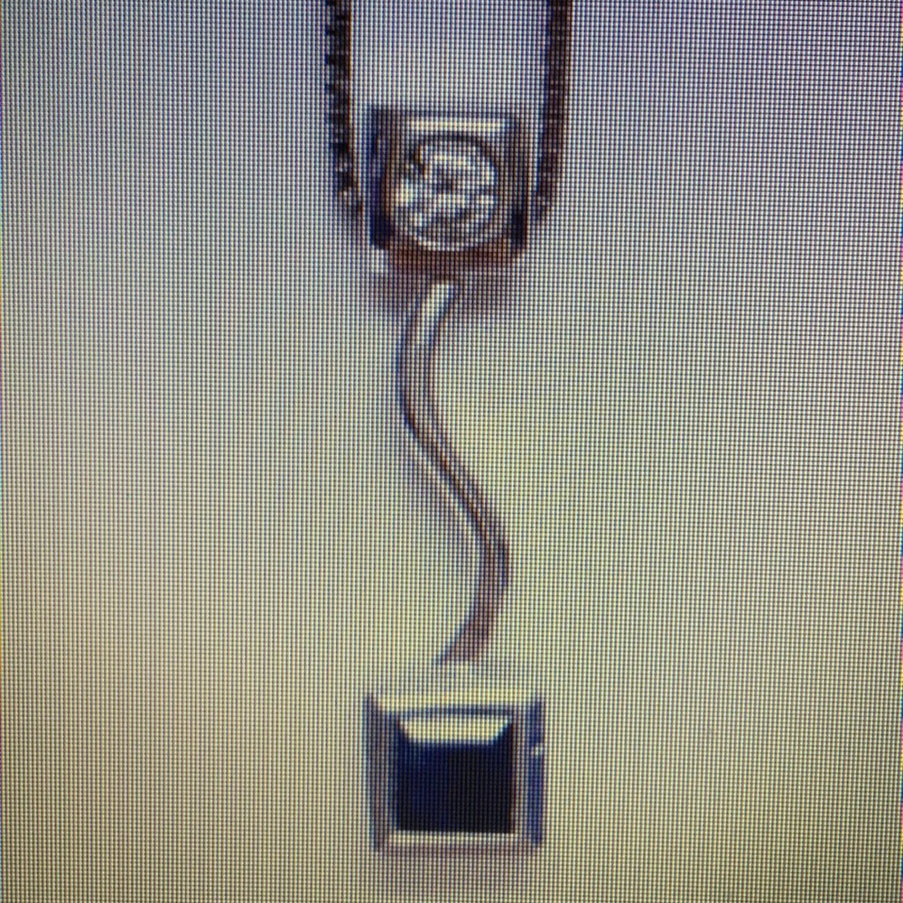 14k White Gold necklace and pendant.